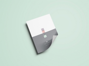 Website Design